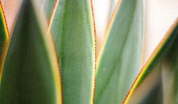 https://unsplash.com/photos/O16qUtRpl6M https://unsplash.com/photos/O16qUtRpl6M